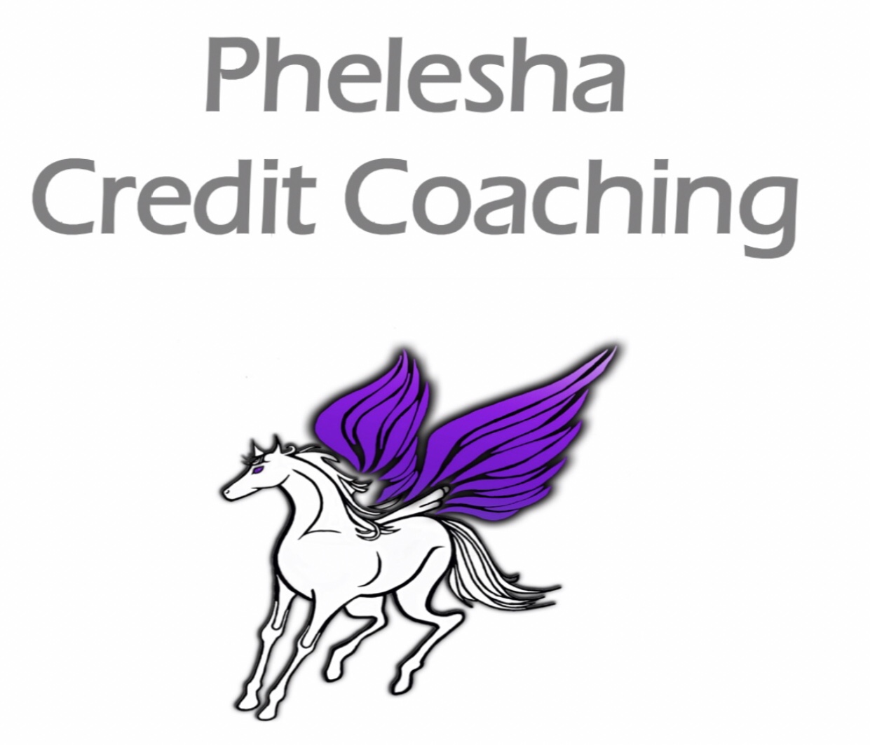 Phelesha Credit Coaching